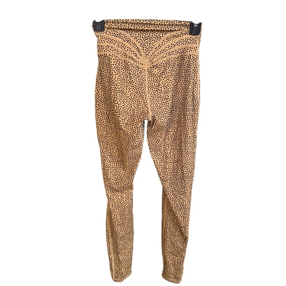 Stylish Tan Polka Dot Women's Pants - Picture 2 of 3